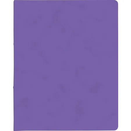 BRUNNEN Ringbuch FACT!plus, A4, 2R, 15mm, violett