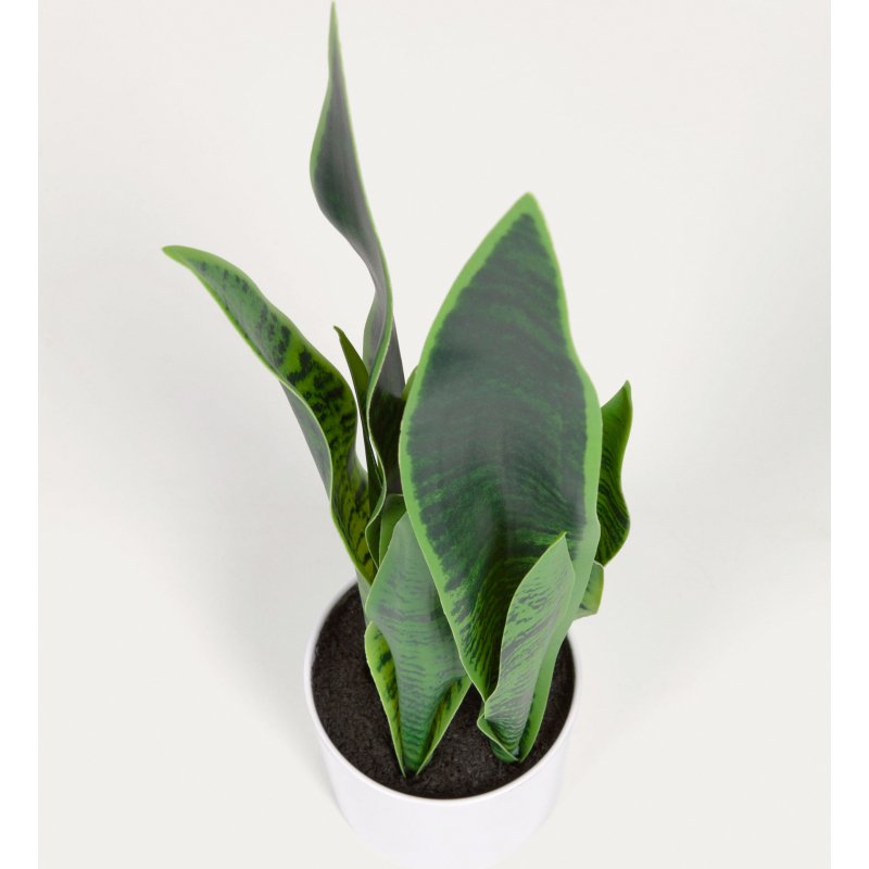 Plante artificielle Sansevieria avec pot blanc 55 cm
