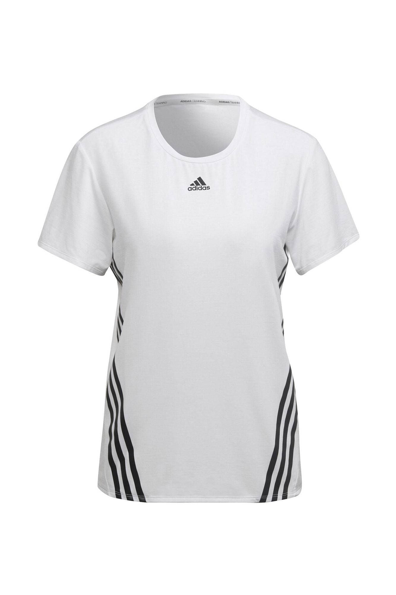 Camiseta WTR ICNS