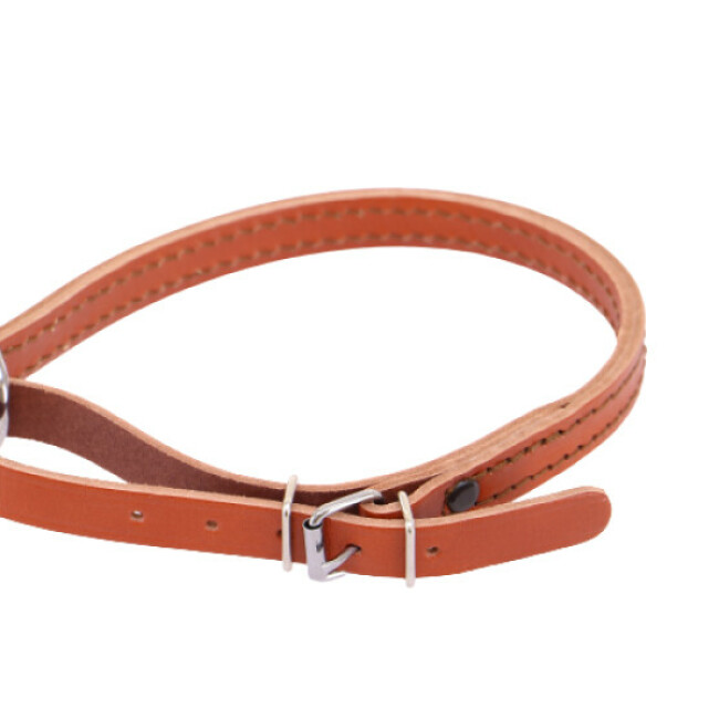 Collier en cuir pour chien