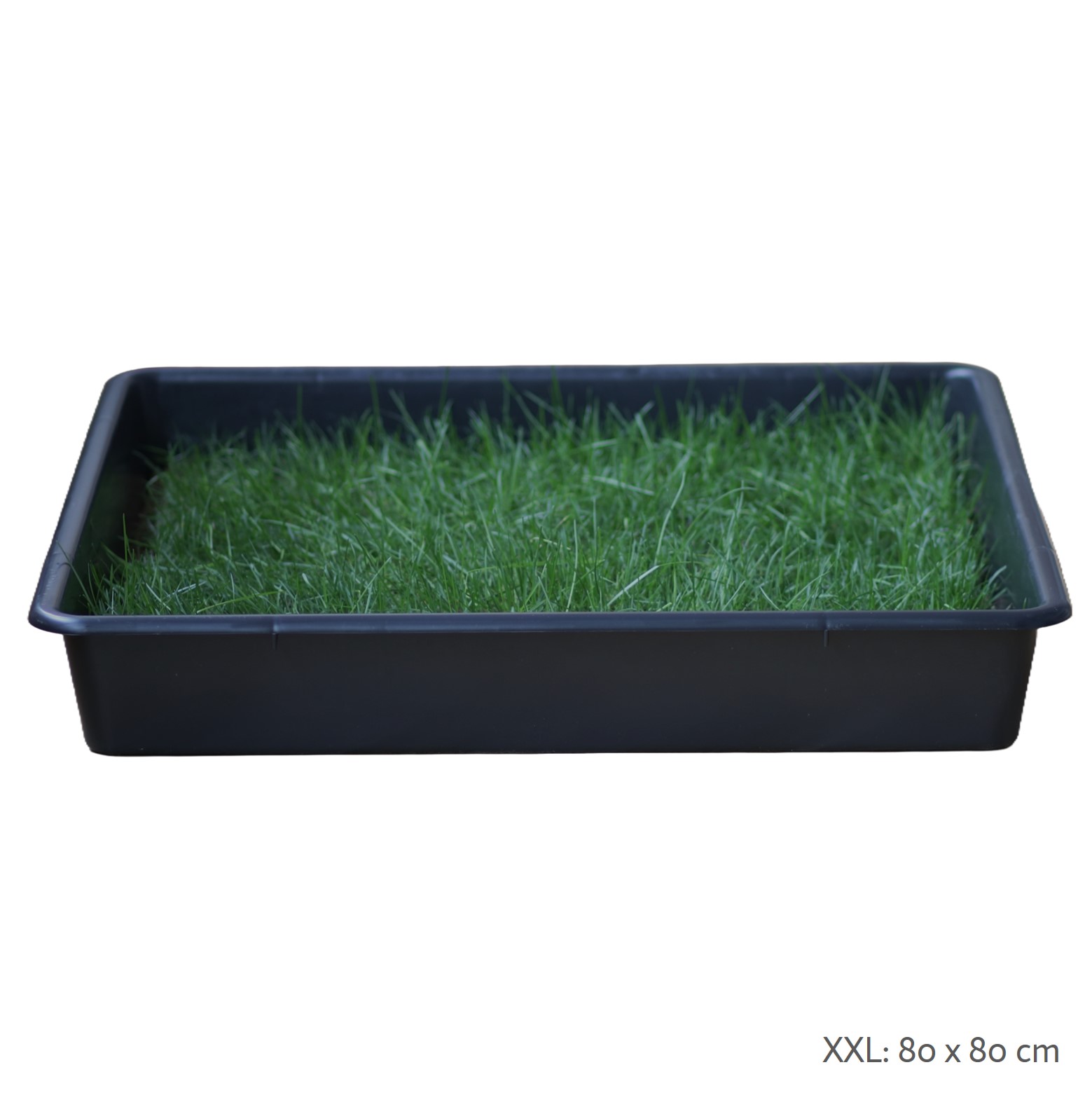Cama para cães Petground, tapete com aroma, grama natural.