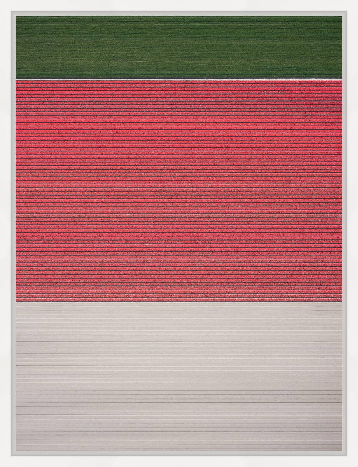 In Full Bloom I by Kevin Krautgartner - Limited Edition. Edition of: 150. Signed.