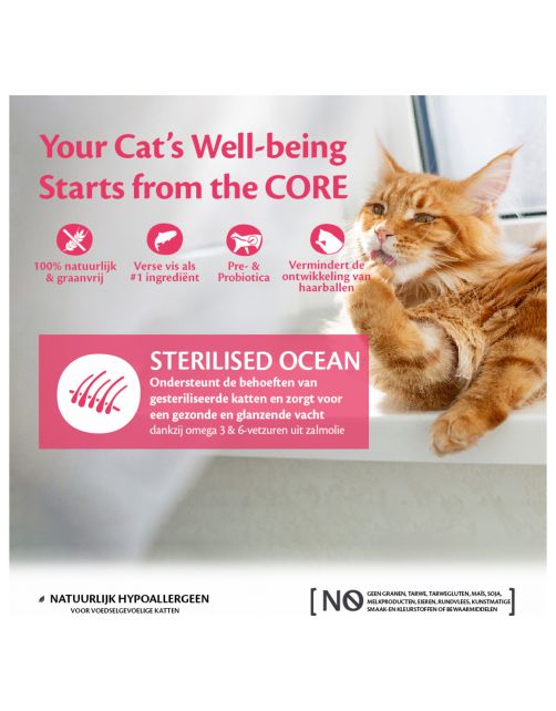 Wellness Core Grain Free Cat Sterilised Zalm - Kattenvoer