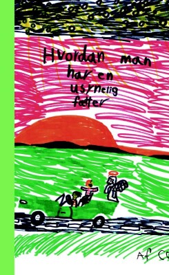 Hvordan Man Har En Usynlig Fætter - David Cozmo Stendevad Kjær - Bog