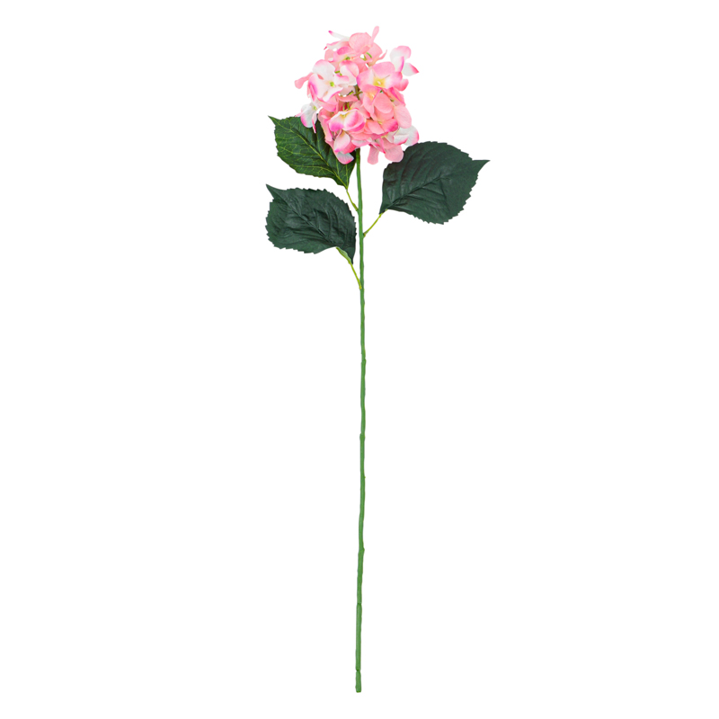 Bouquet hortensia
