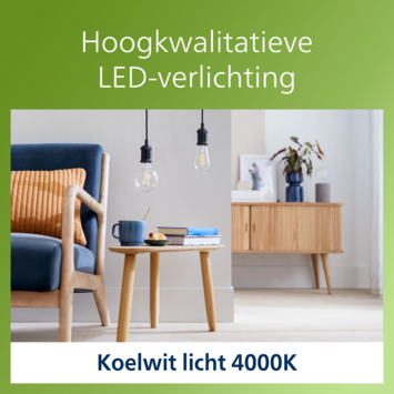Philips greenlabel globe E27 4W 4000K