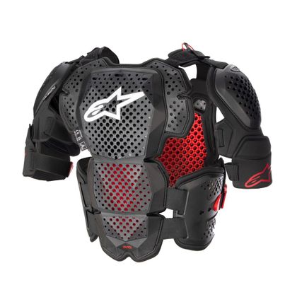 Pare pierre Alpinestars A-10 V2 2023 - Gris / Noir