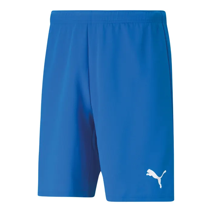 Puma teamRISE Short Heren