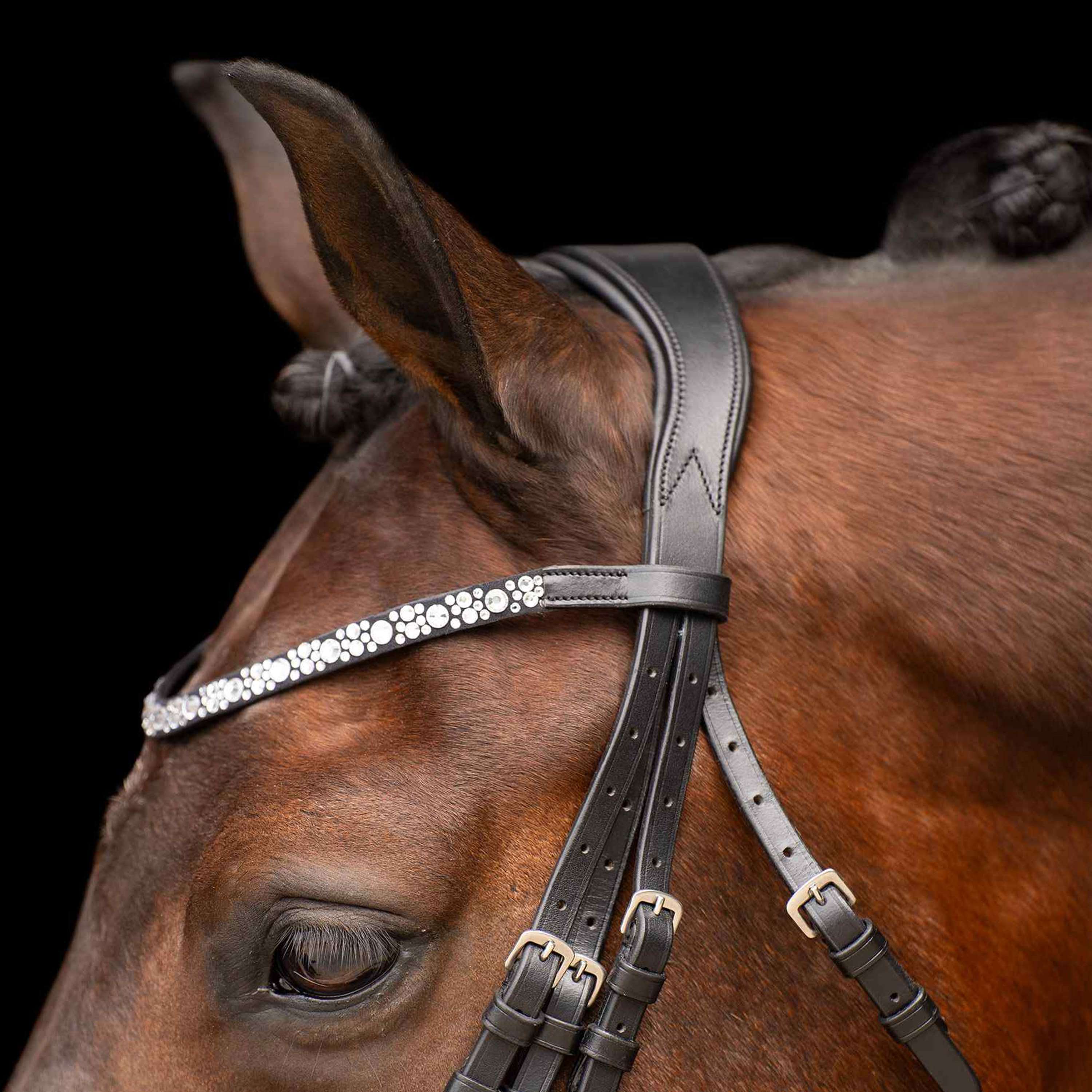 Imperial Riding Stang- en Trenshoofdstel IRHOlympia Zwart/Wit