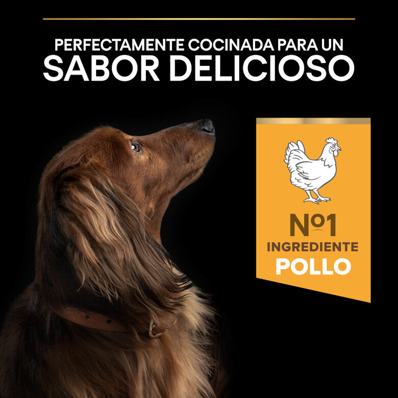 Pro Plan Adult Small and Mini Frango para Cães Idosos +9