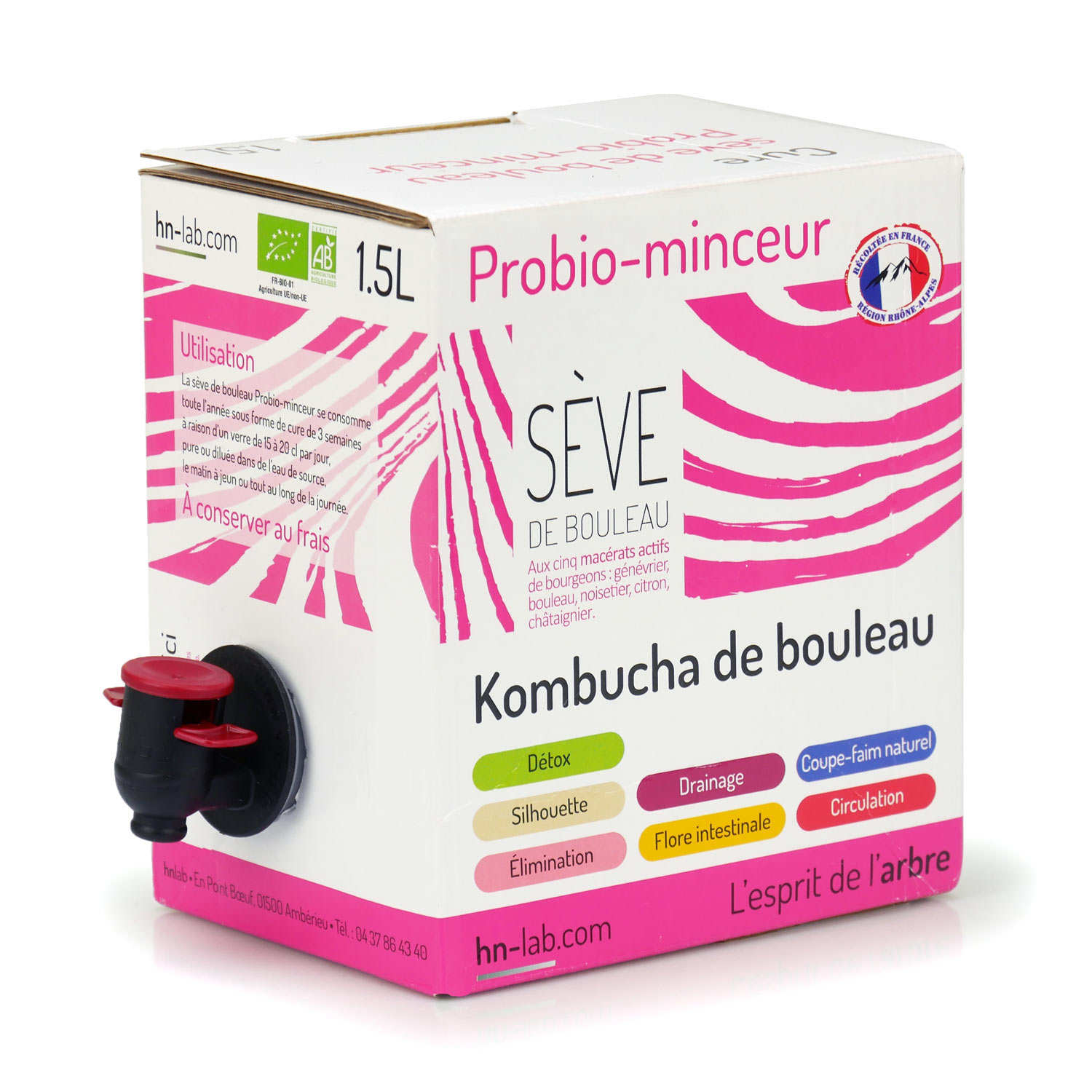 Kombucha de bouleau bio - Minceur