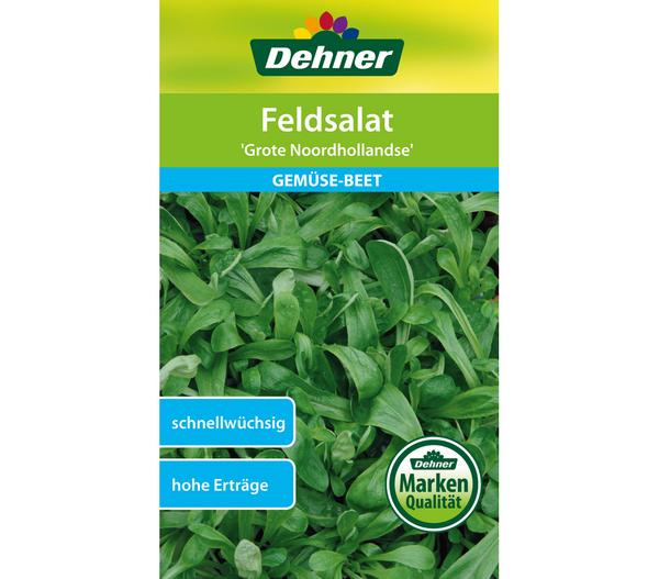 Dehner Samen Feldsalat 'Grote Noordhollandse'
