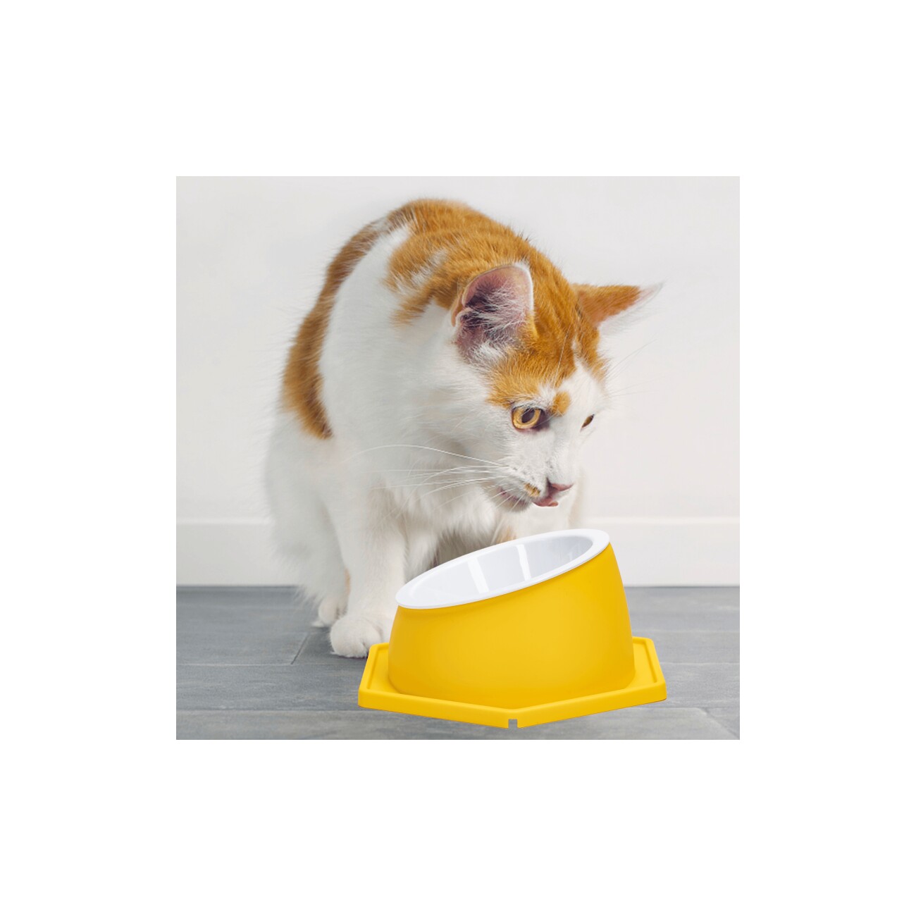 nobleza - Gesundheits Futternapf für Katzen - Waschbar & Abnehmbar gelb