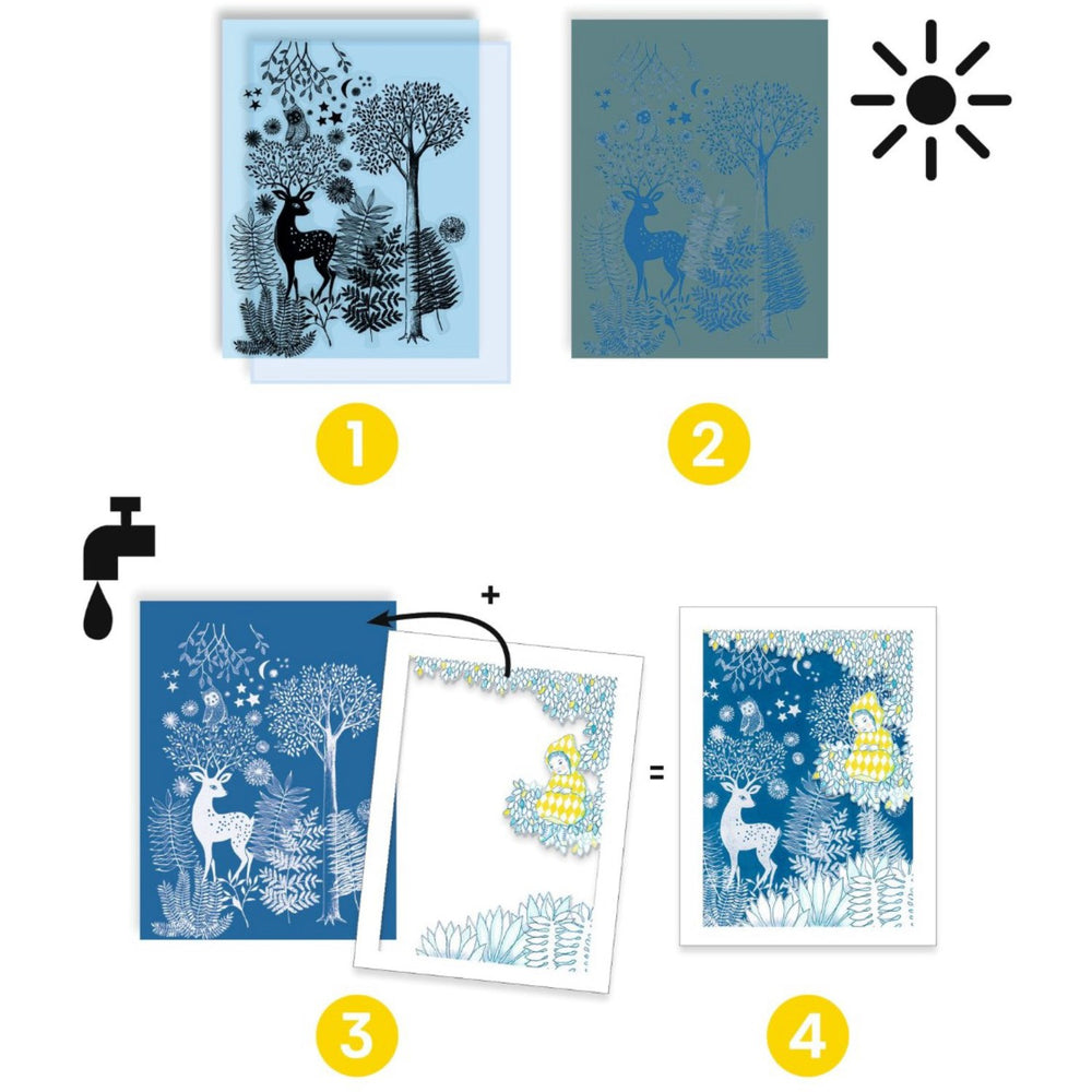 Køb Djeco Cyanotype/Lystryk, I Måneskin