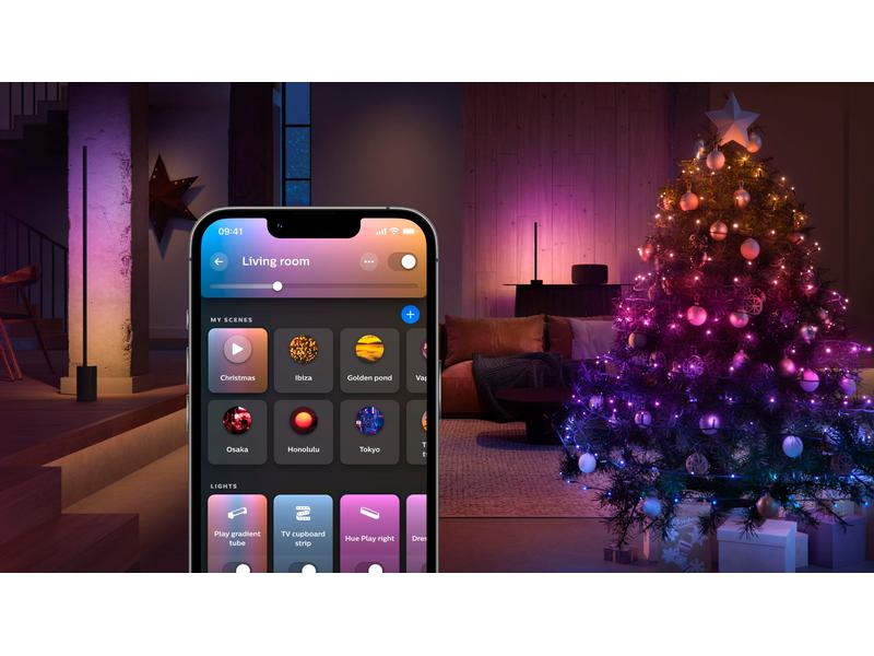 Philips Hue Festavia Lichterkette 20 m 250 LEDs CH Smarte Weihnachtsbeleuchtung für den Innen- und Aussenbereich