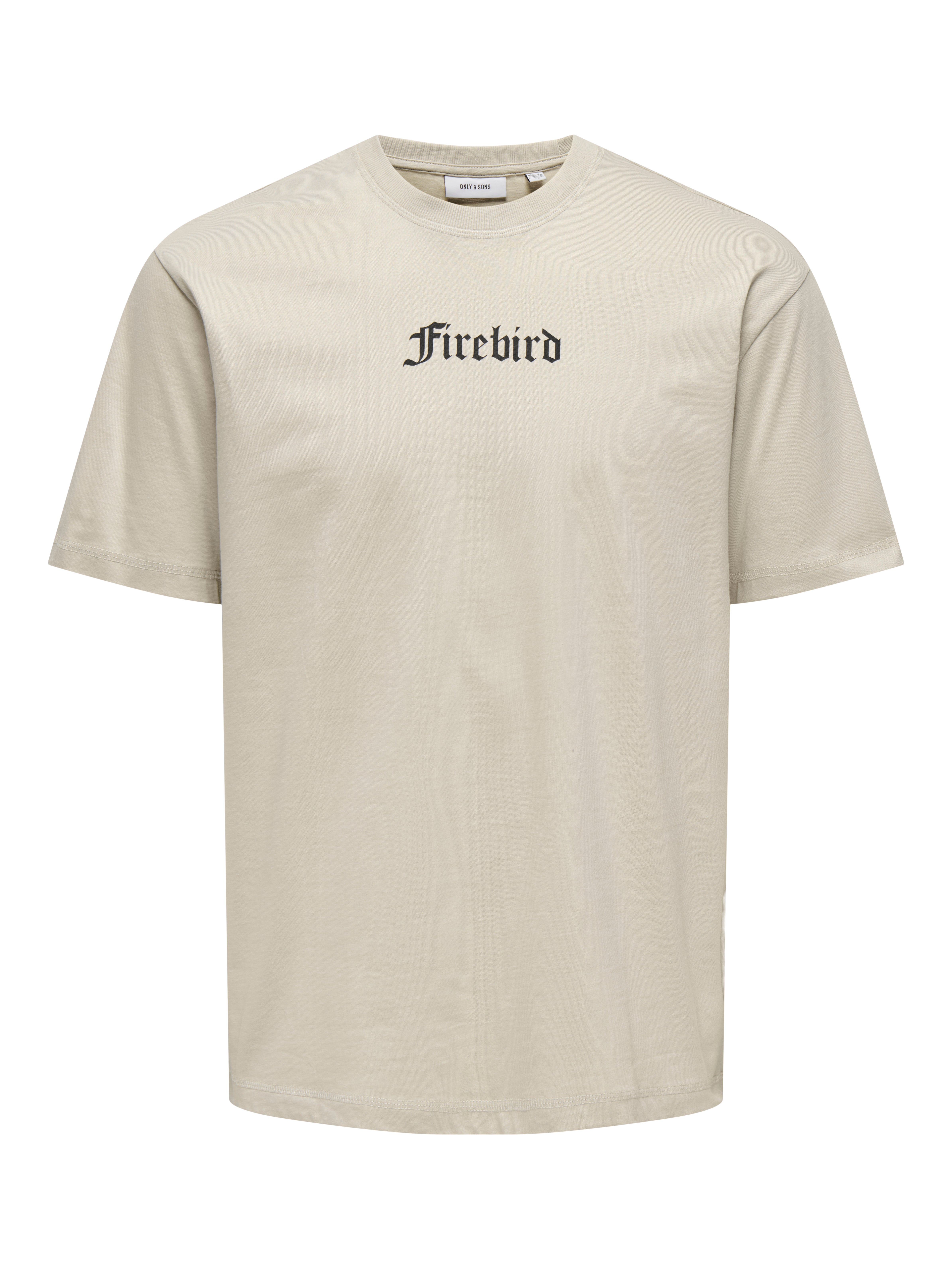 ONSKYLO T-shirt Silver Lining