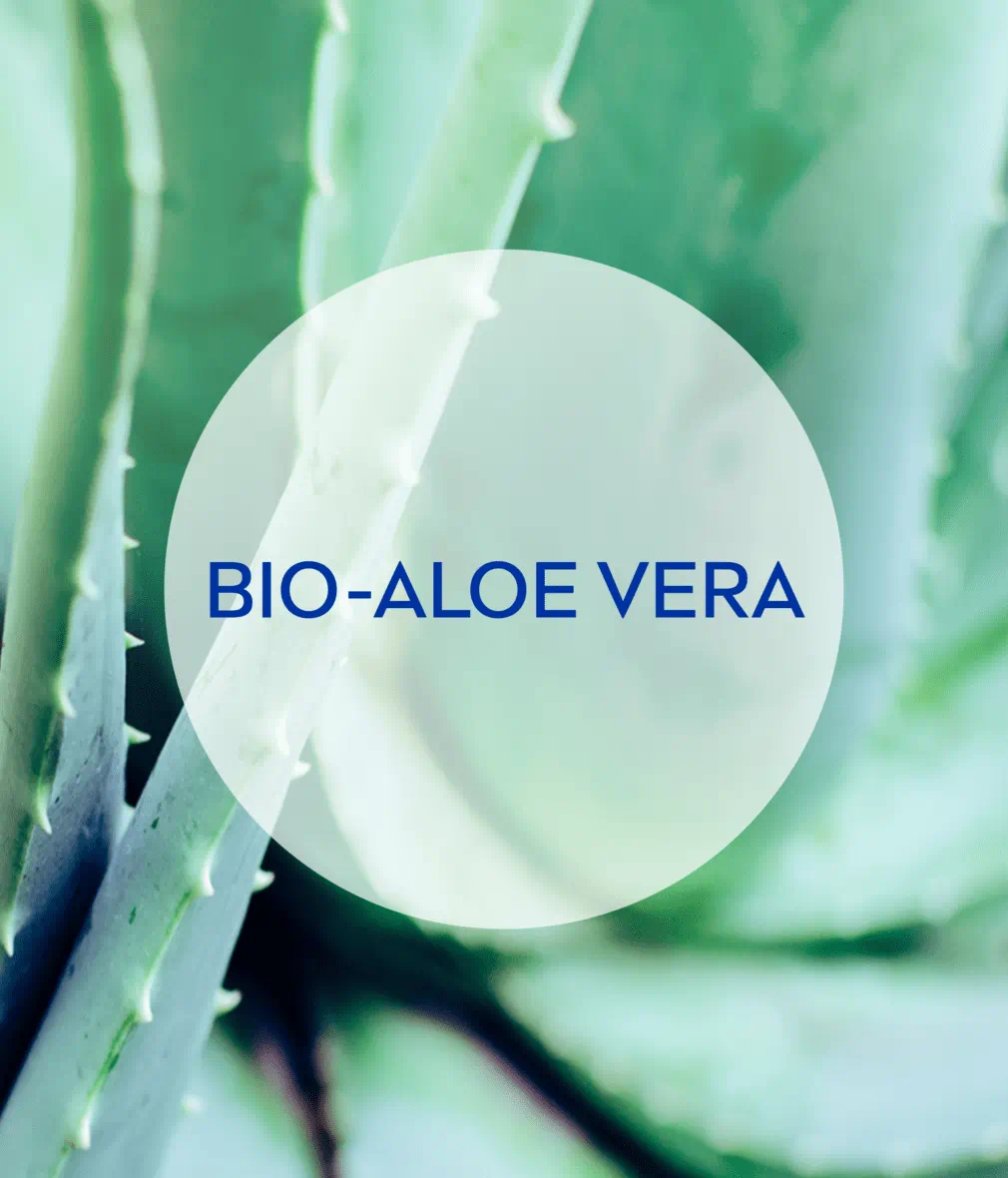 LAIT APRÈS-SOLEIL HYDRATANT À L'ALOE VERA BIO