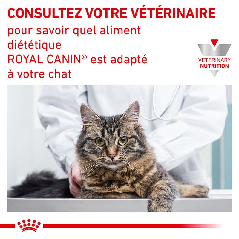 Royal Canin Veterinary Urinary S/O Mousse
