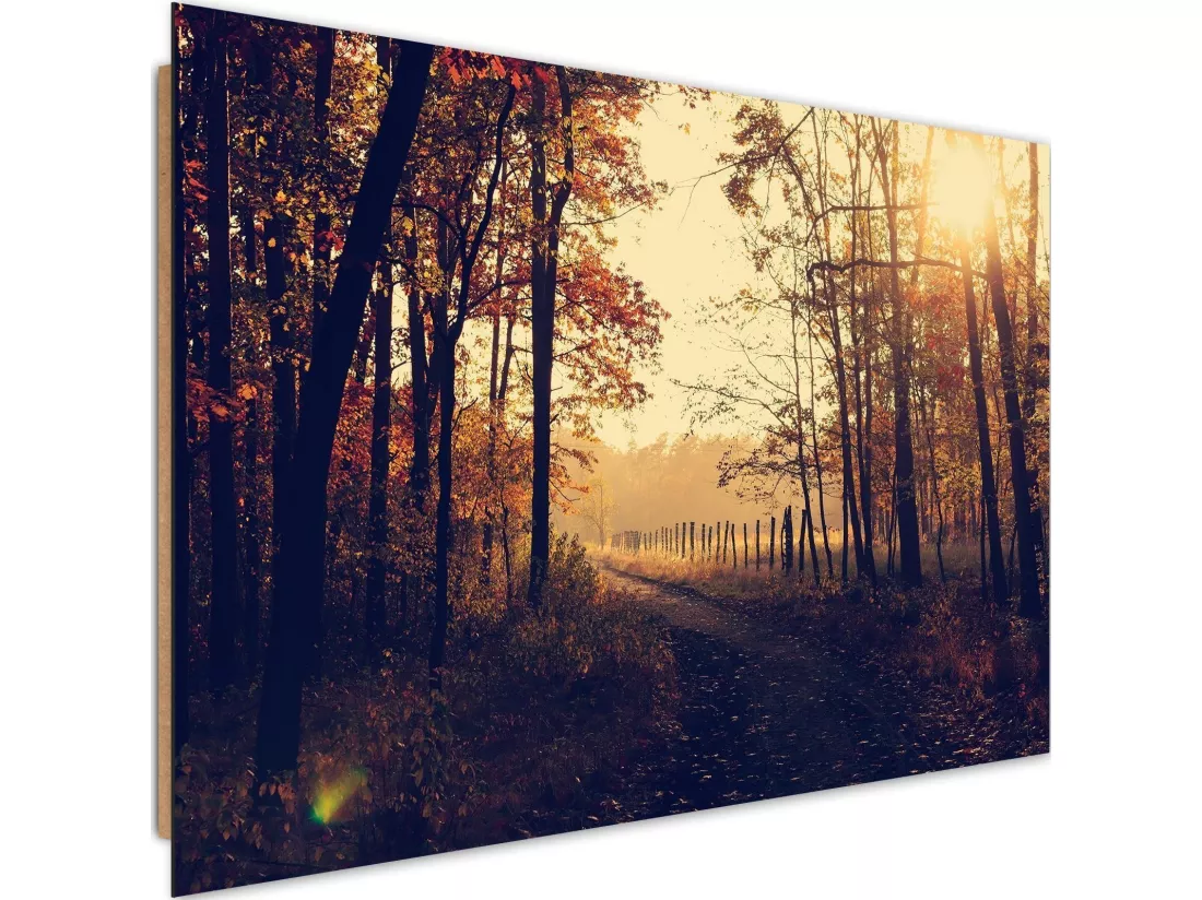 Tableau chemin de terre des bois à la forêt - 120 x 80 cm