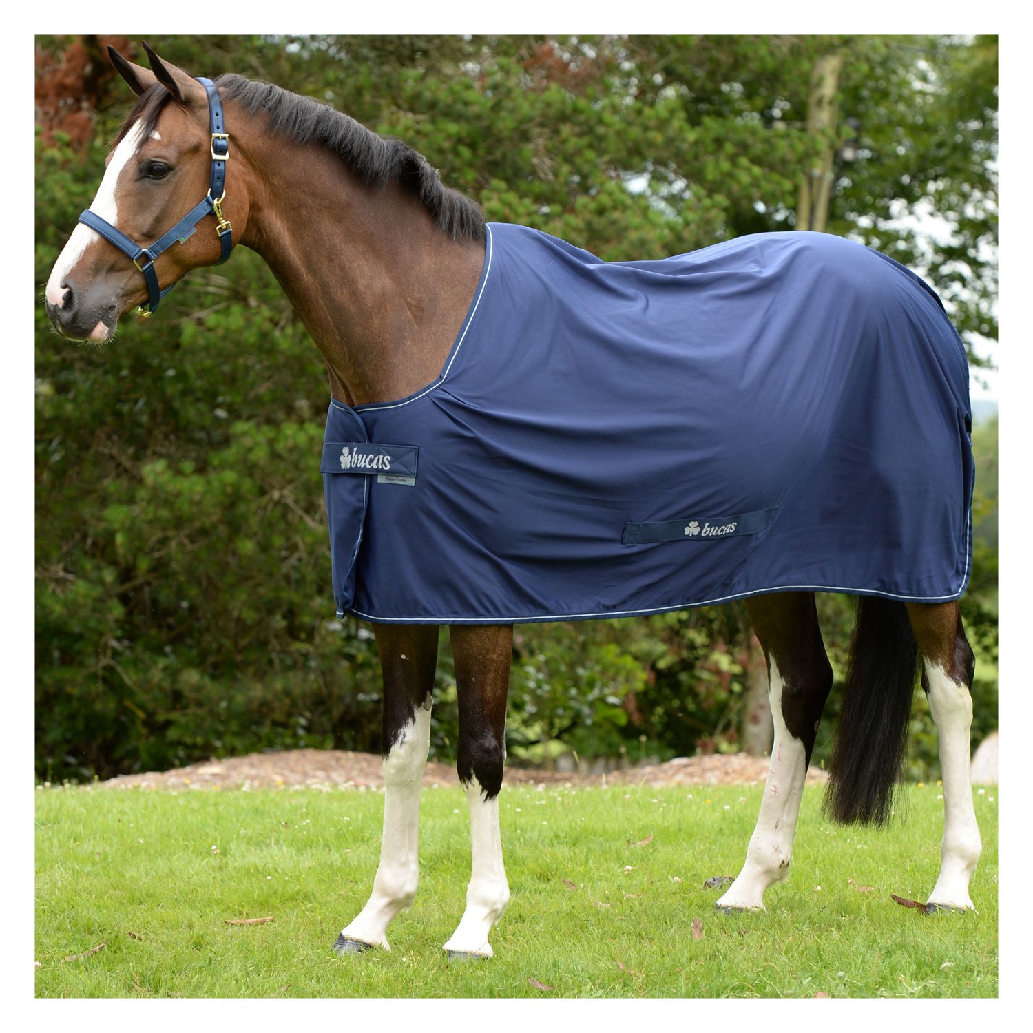 bucas Abschwitzdecke Power Cooler  - navy/silver