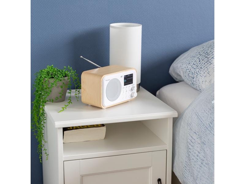 Audizio DAB  Radio Milan Weiss DAB  Radio mit Bluetooth