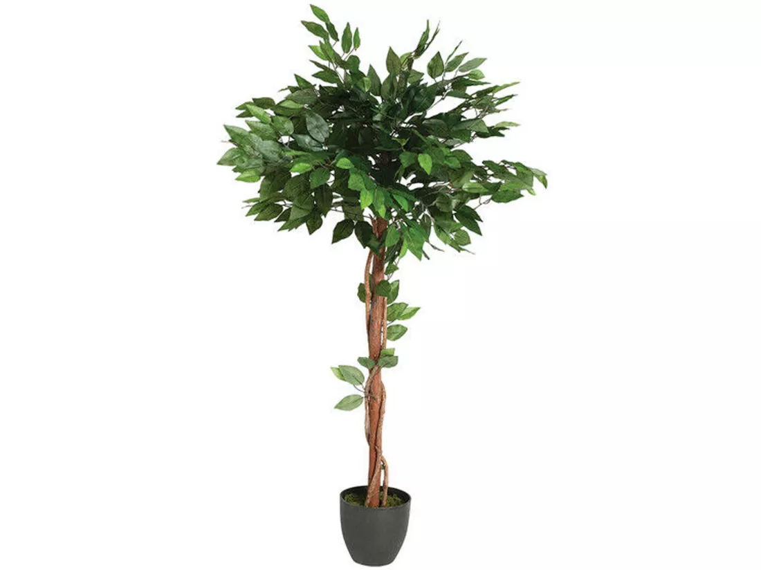 Ficus artificiel en pot l.77 x p.77 x h 120, vert