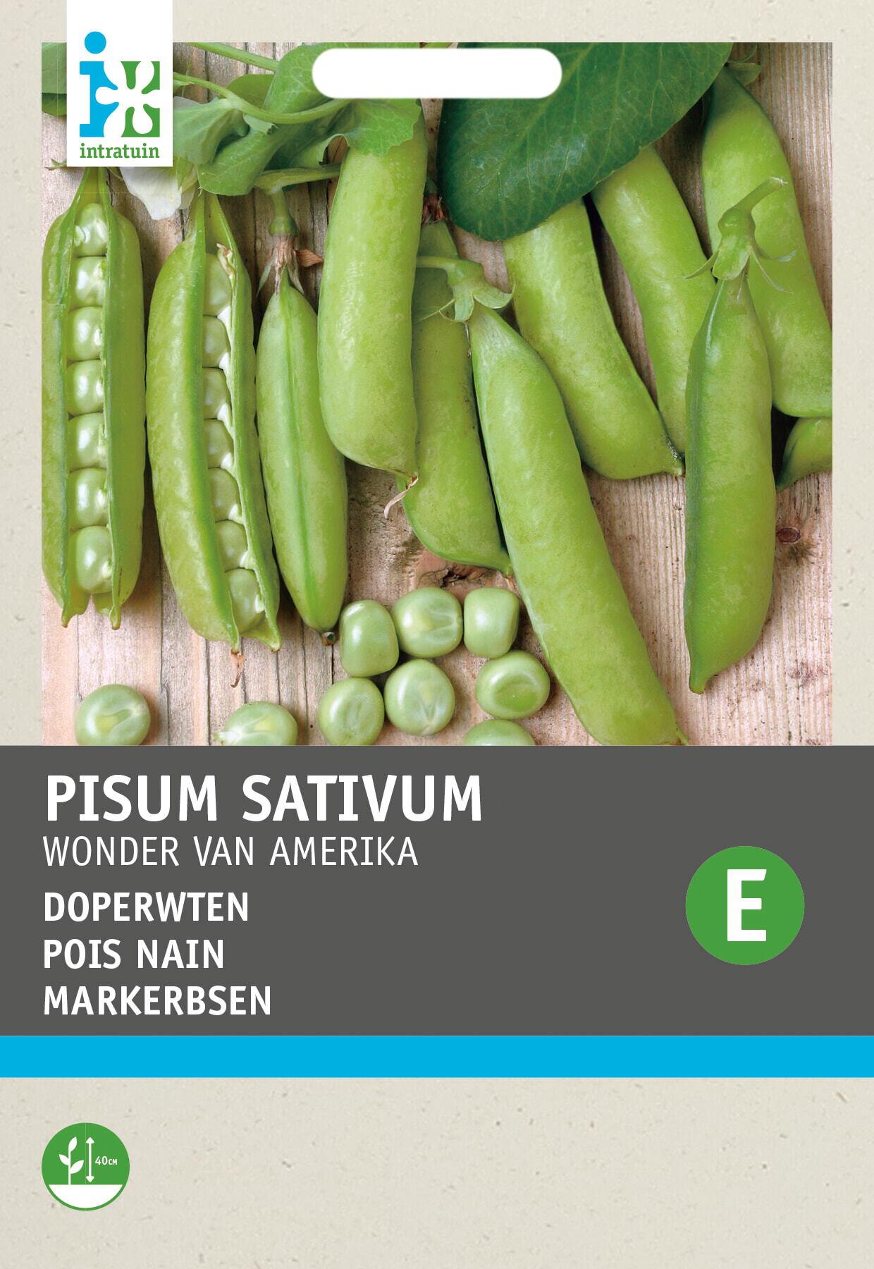Intratuin Biologisch groentezaad Courgette (Curcurbita pepo 'Gabriella')