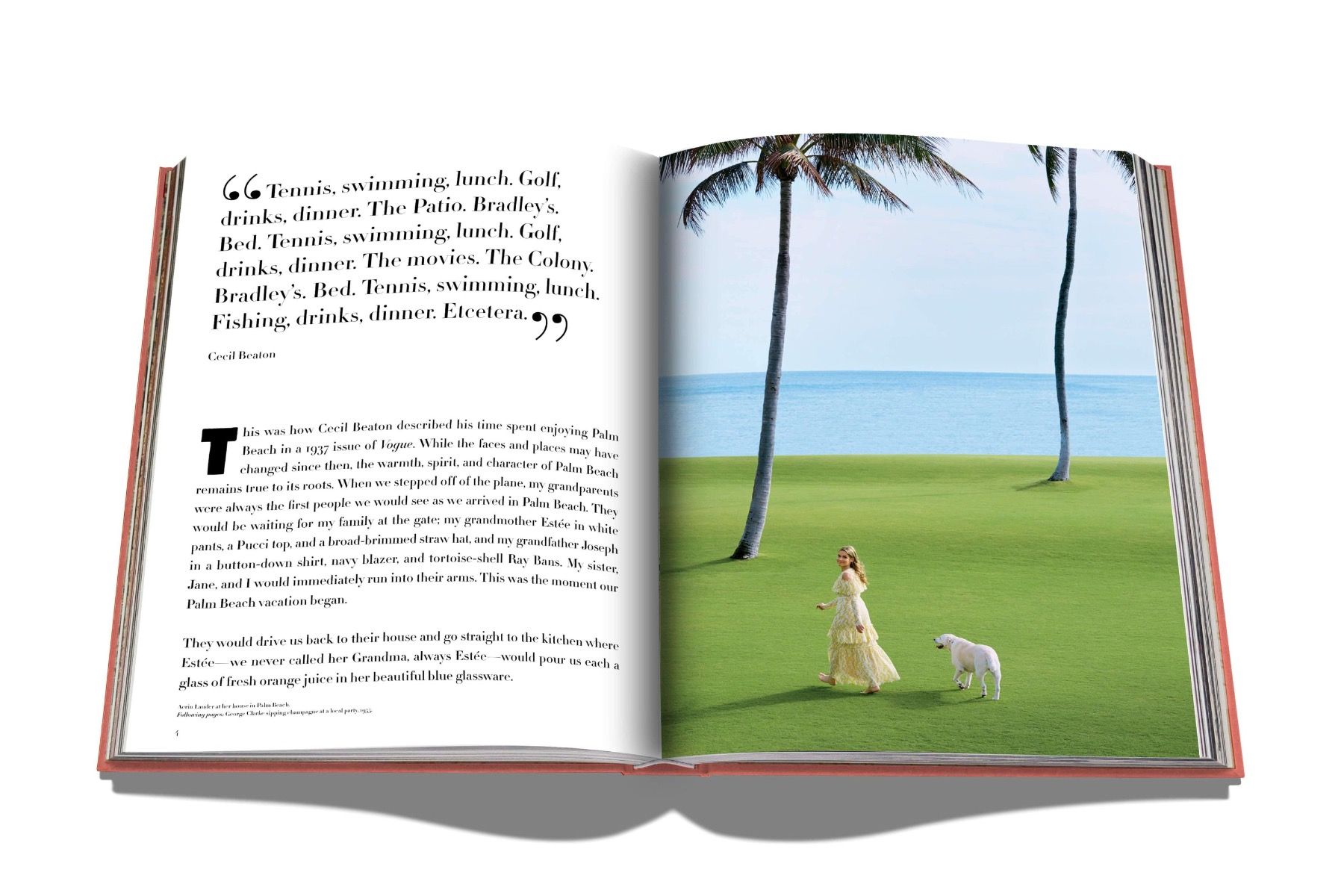 Assouline Palm Beach