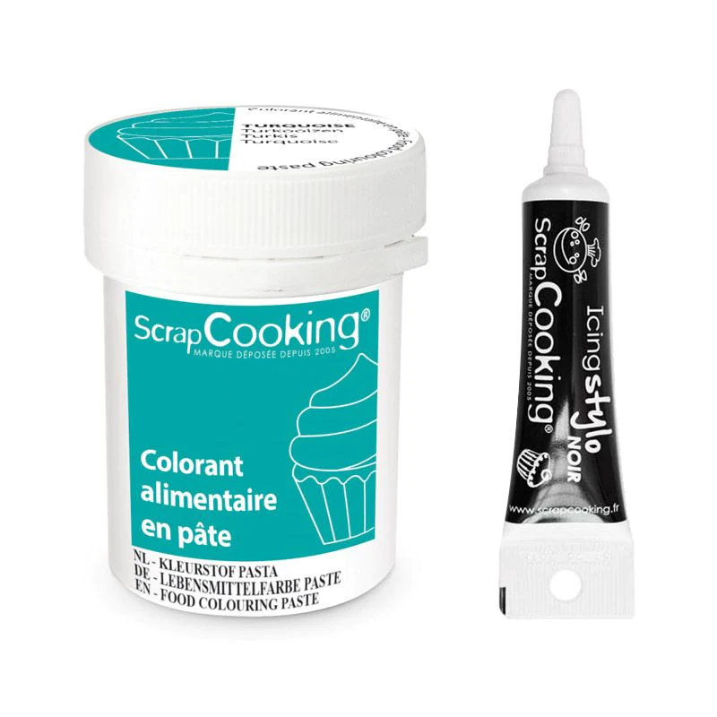 Colorant alimentaire en pâte 20 g Turquoise + Stylo de glaçage noir Sc