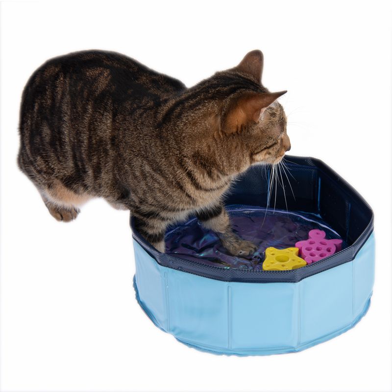 Jouet Kitty Lake