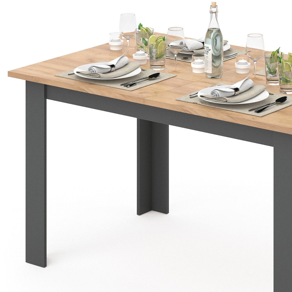 Vicco Esstisch Küchentisch Esszimmertisch 140x80cm Kaffeetisch GKO-Anthrazit