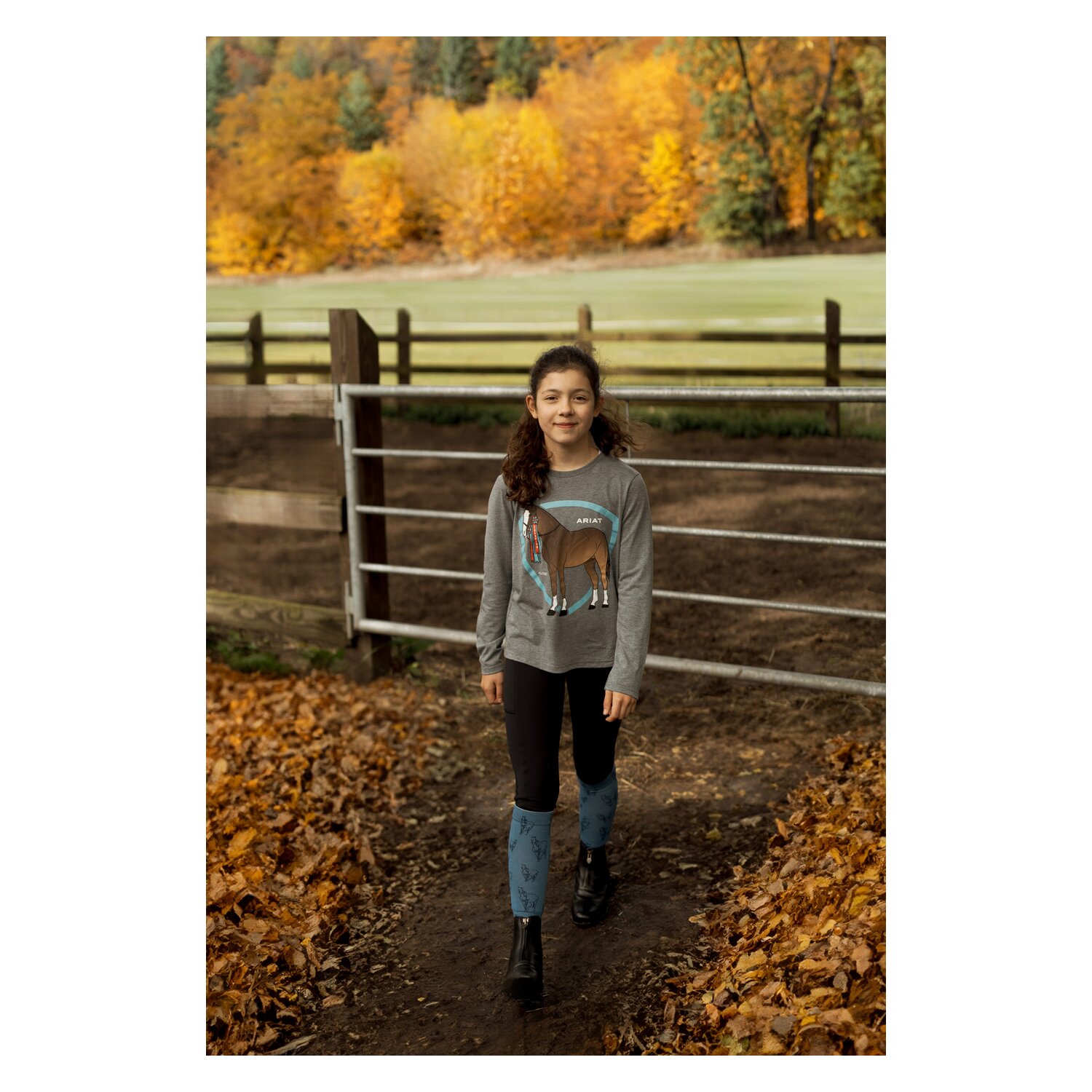 ARIAT Langarmshirt Champion Pony  - heather grey