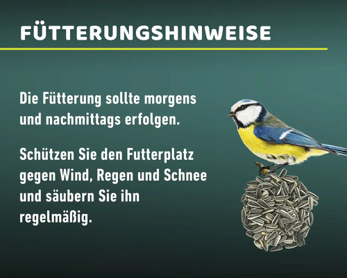 Vogelvoer voor wilde vogels Mr. Corn zonnebloempitten 2,5 kg vogelvoer het hele jaar door Ambrosia gecontroleerd, Made in Germany