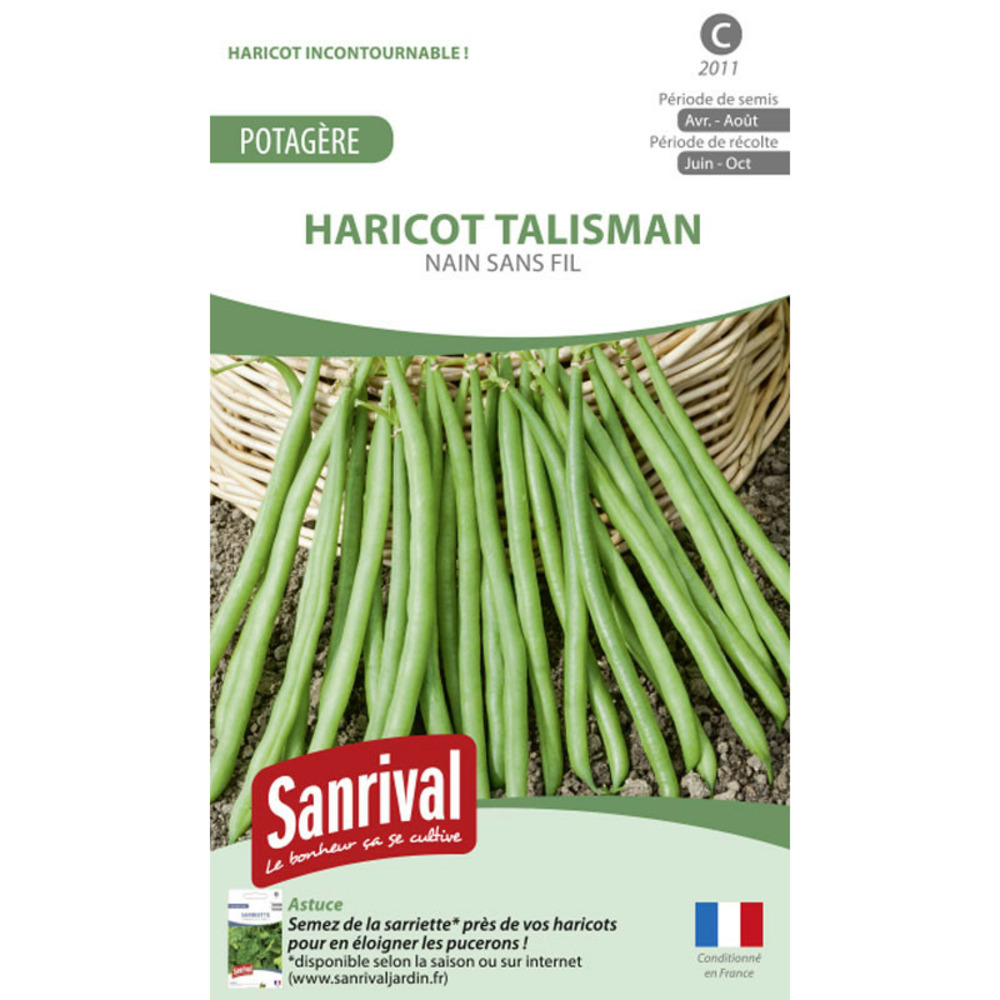 Graines haricot talisman