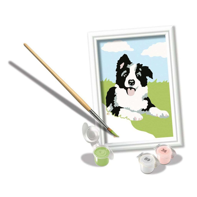 Malen nach Zahlen - Border Collie Welpe