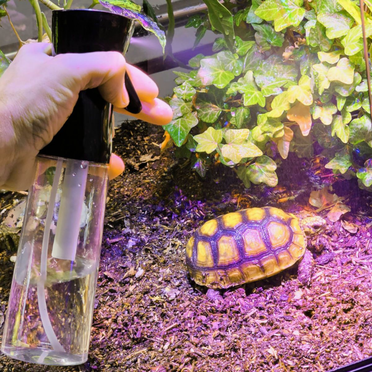 Hobby AtomiZZZer - Pumpzerstäuber mit Nachsprüh-Automatik