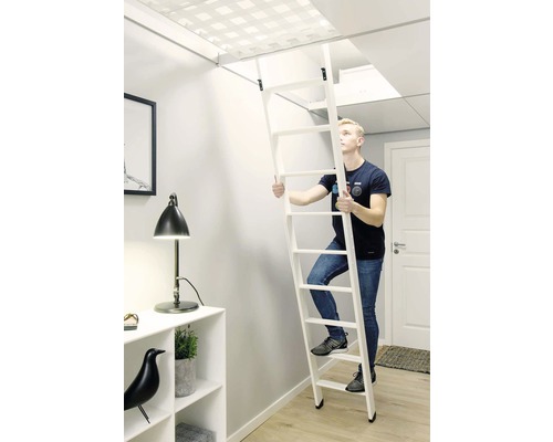 Dolle stapelbedladder, grenen/beuken, wit gegrond, 2-delig met 10 treden