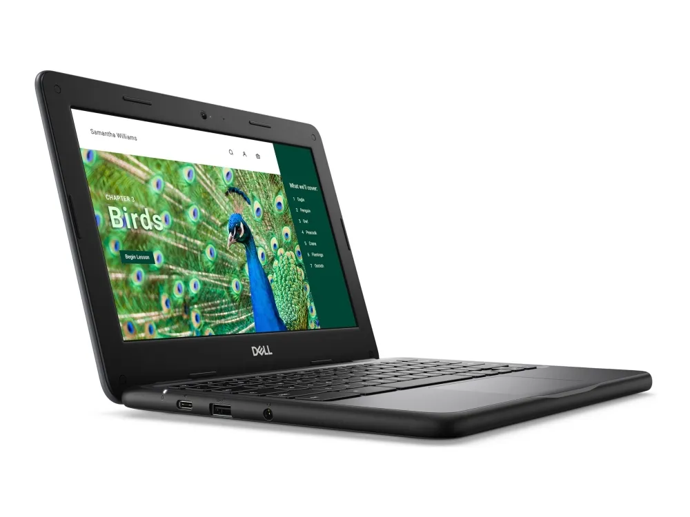 Dell Chromebook 3120 (2024) - Intel N-series - N100 / op til 3.4 GHz - Chrome OS - UHD Graphics - 4 GB RAM - 64 GB eMMC - 11.6