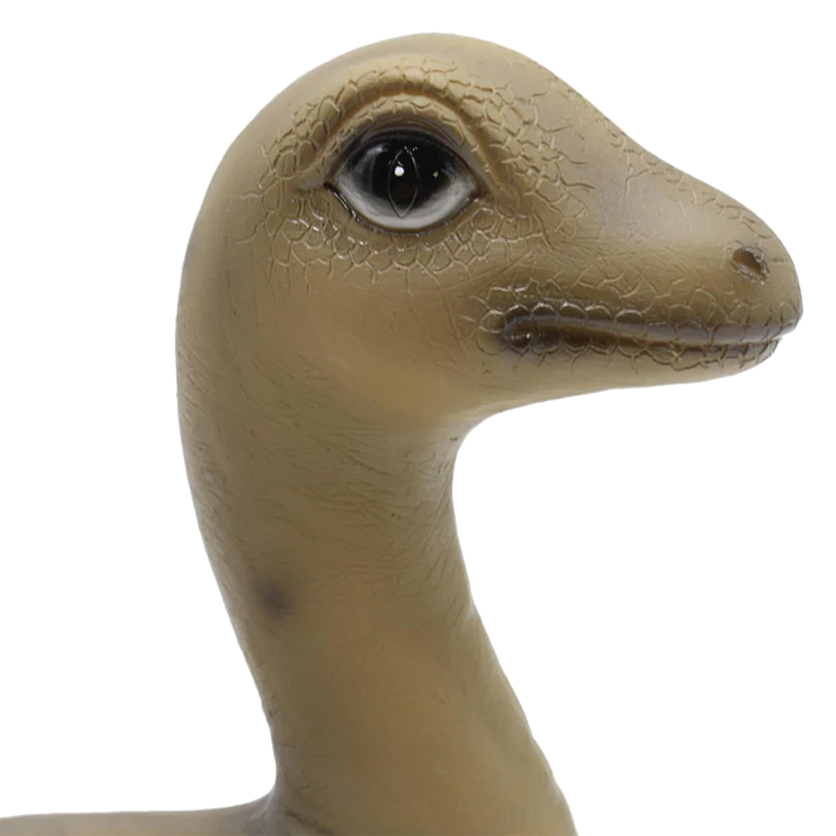 Veilleuse dino | Vert