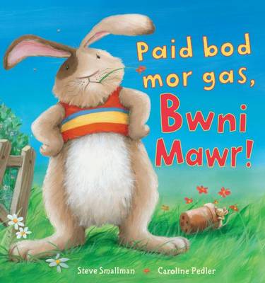 Paid Bod Mor Gas, Bwni Mawr (Paperback)
