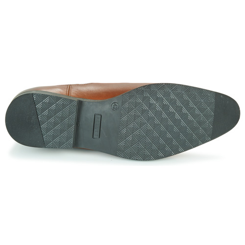 Pellet - BILL - VEAU GOLD