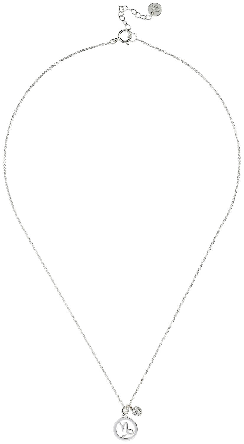 Kette - Sternzeichen Steinbock