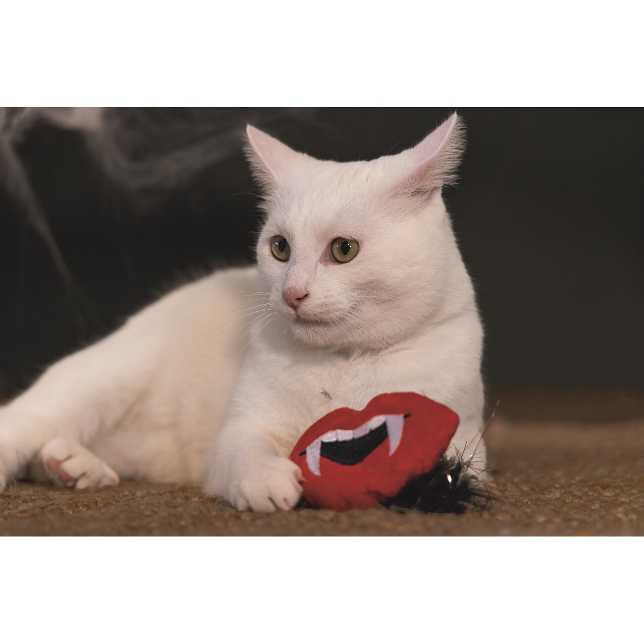 Beeztees Kuscheltier Halloween Dracula