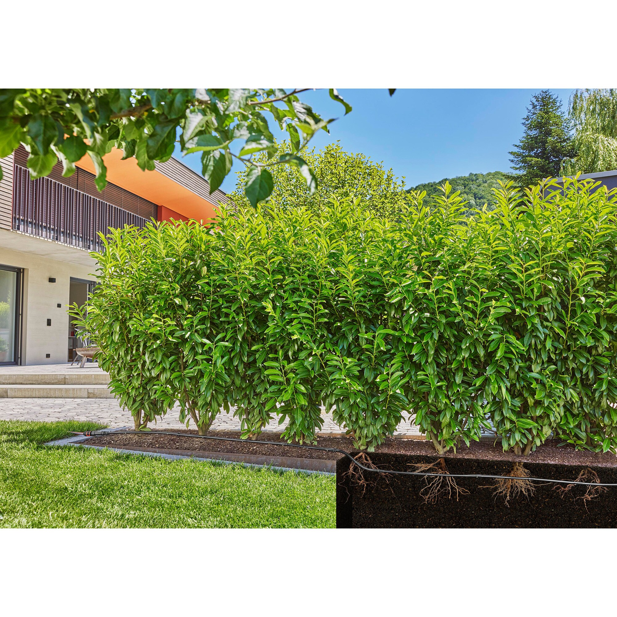 GARDENA Tropfer Micro-Drip-System Tropfbewässerung Hecken/Büsche Set, 50 Meter
