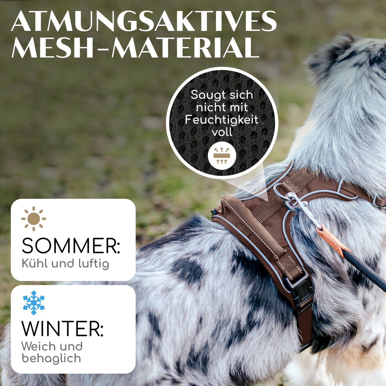 Freudentier Hundegeschirr mit Mesh-Polsterung XS