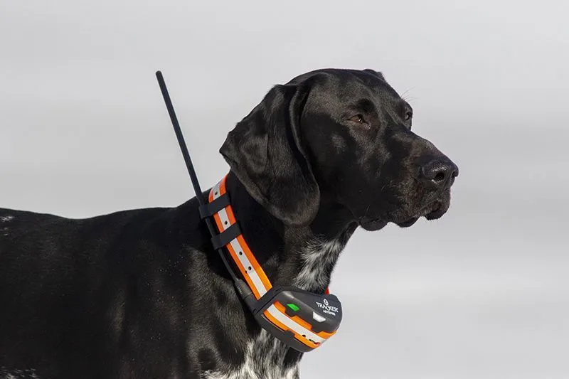 Tracker Artemis Black