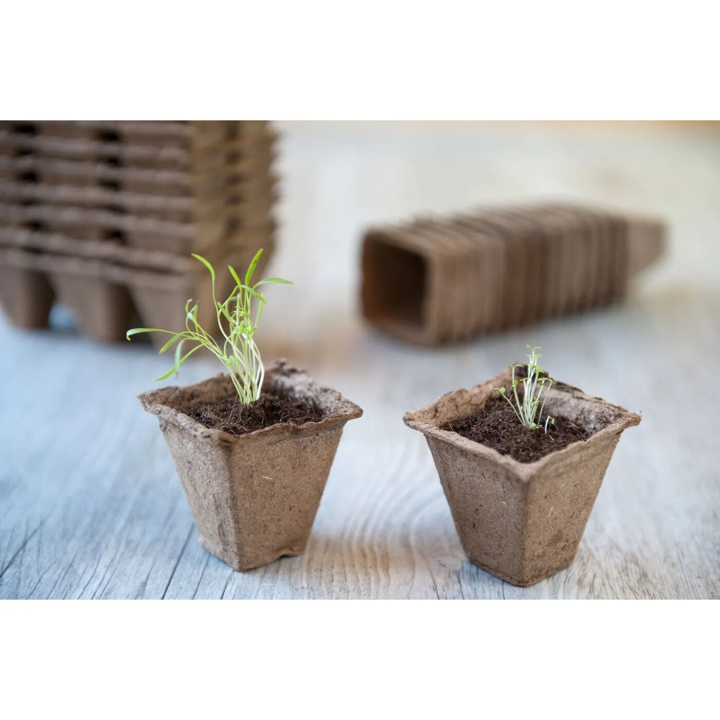Nature - Turfpotjes - 6x15 Stuks - 12.5x20.5x12.5 cm