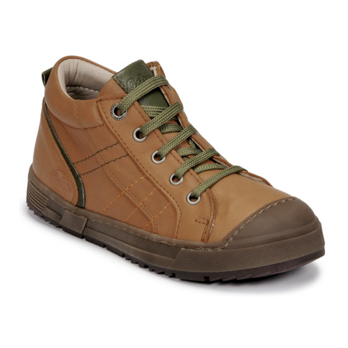 Aster - BARNA - Camel