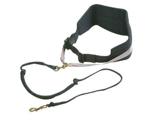 FLAMINGO - Harnais de sécurité enfant Ceinture pour chien avec laisse élastique canicross noir
