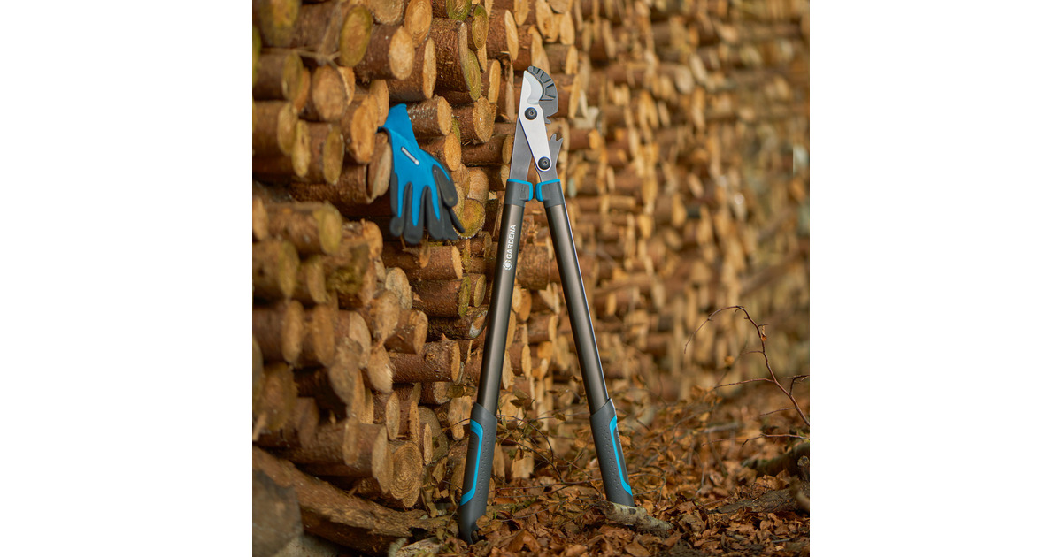 GARDENAAambeeldtakkenschaar EnergyCut Pro L, met aambeeldsnede  (Grijs/turquoise, 75cm, voor droog hout)